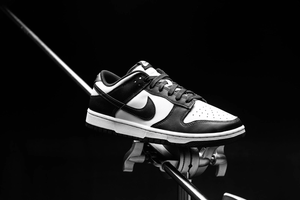 Top 10 Nike Dunk Colourways of All Time - UNTIED AU