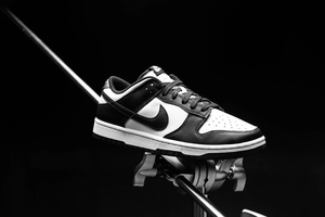 Top 10 Nike Dunk Colourways of All Time - Untied AU