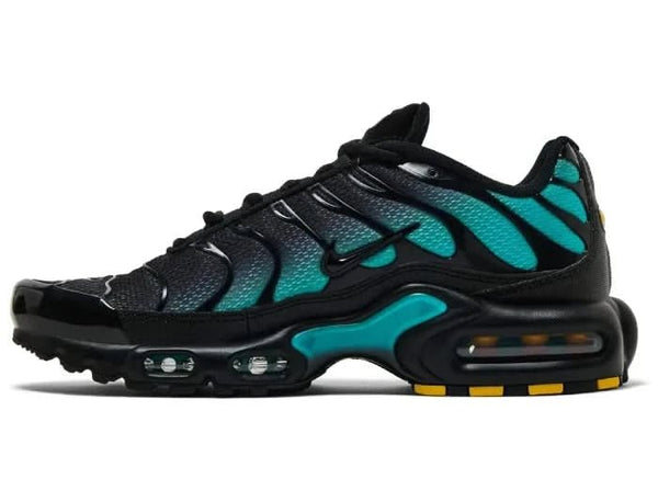 Nike Air Max Plus TN 'Black Dusty Cactus' - UNTIED AU
